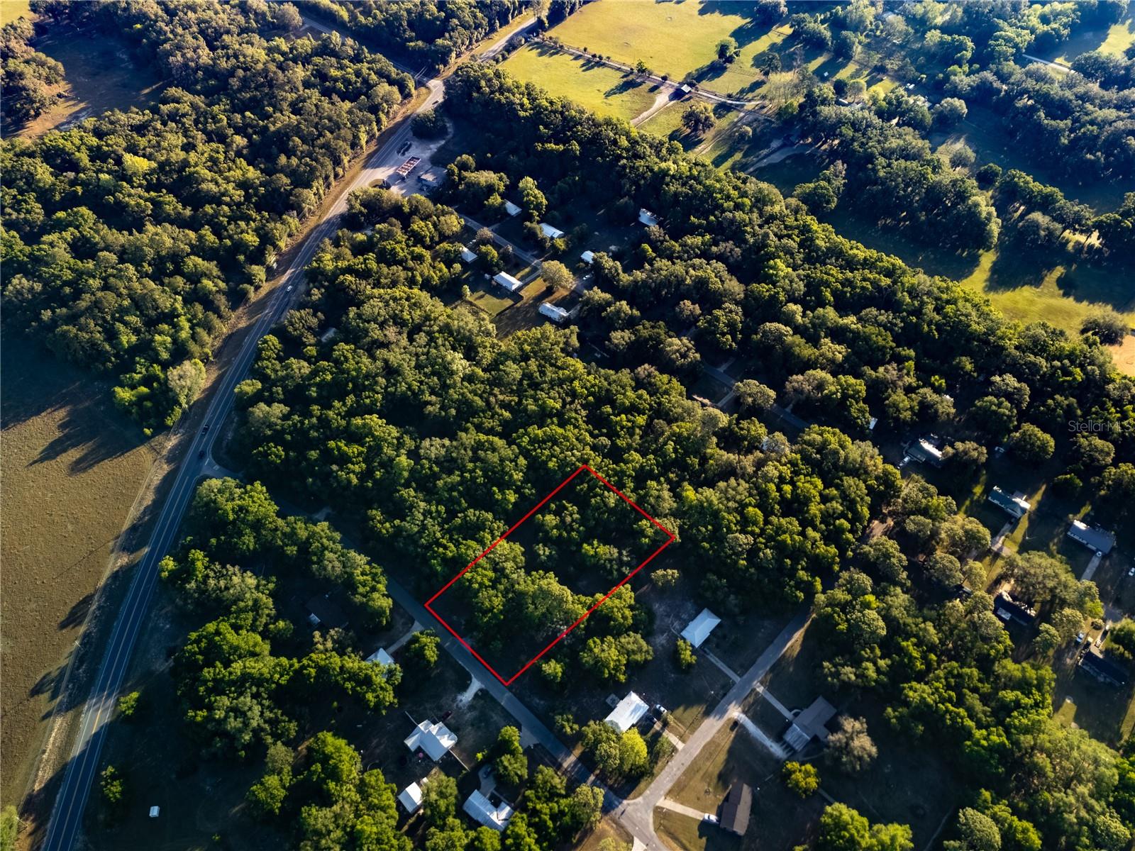 2731 NE 165TH TER, WILLISTON, FL, 32696