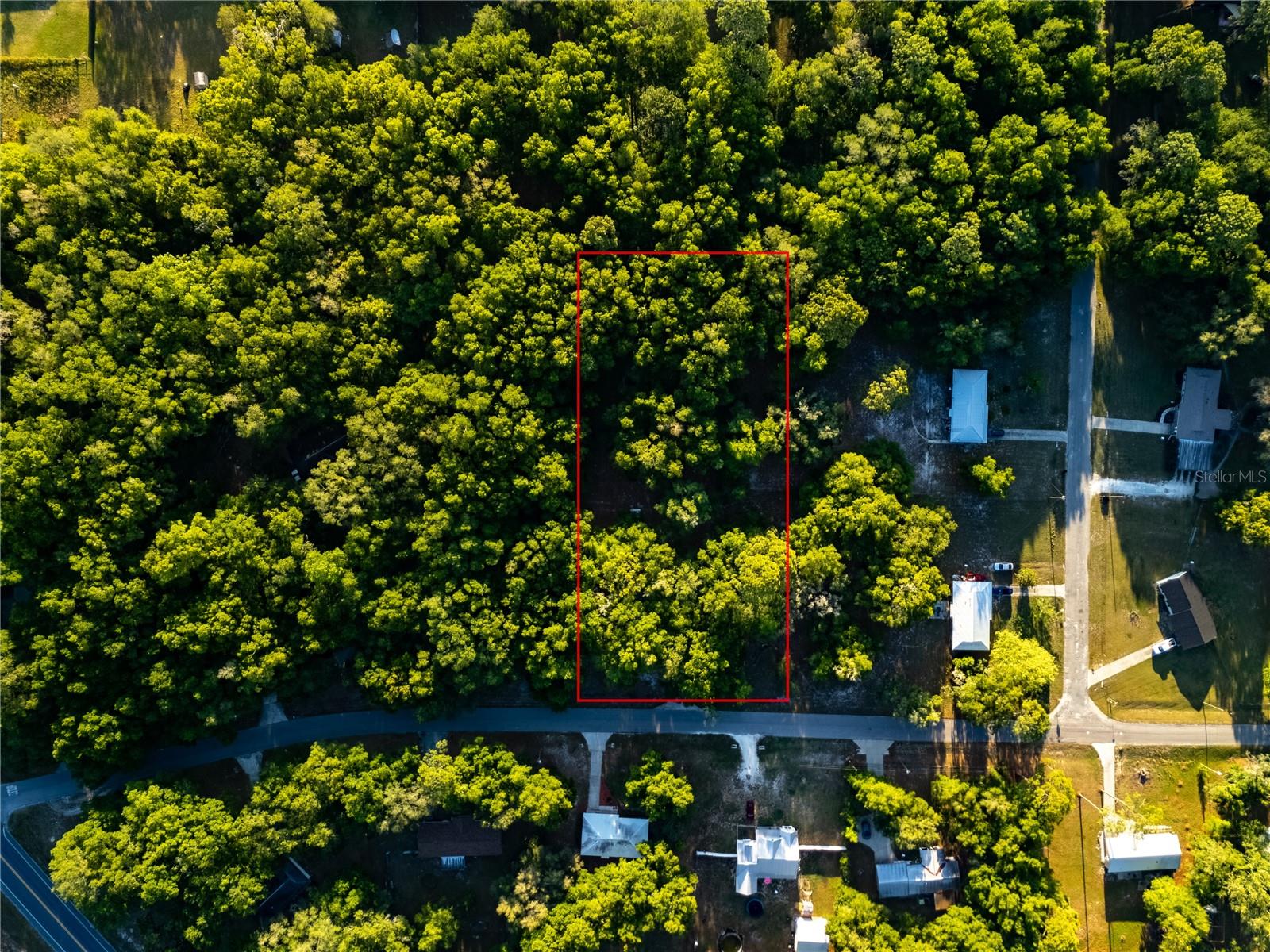 2731 NE 165TH TER, WILLISTON, FL, 32696