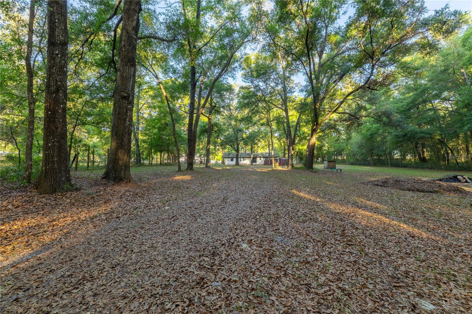 2731 NE 165TH TER, WILLISTON, FL, 32696