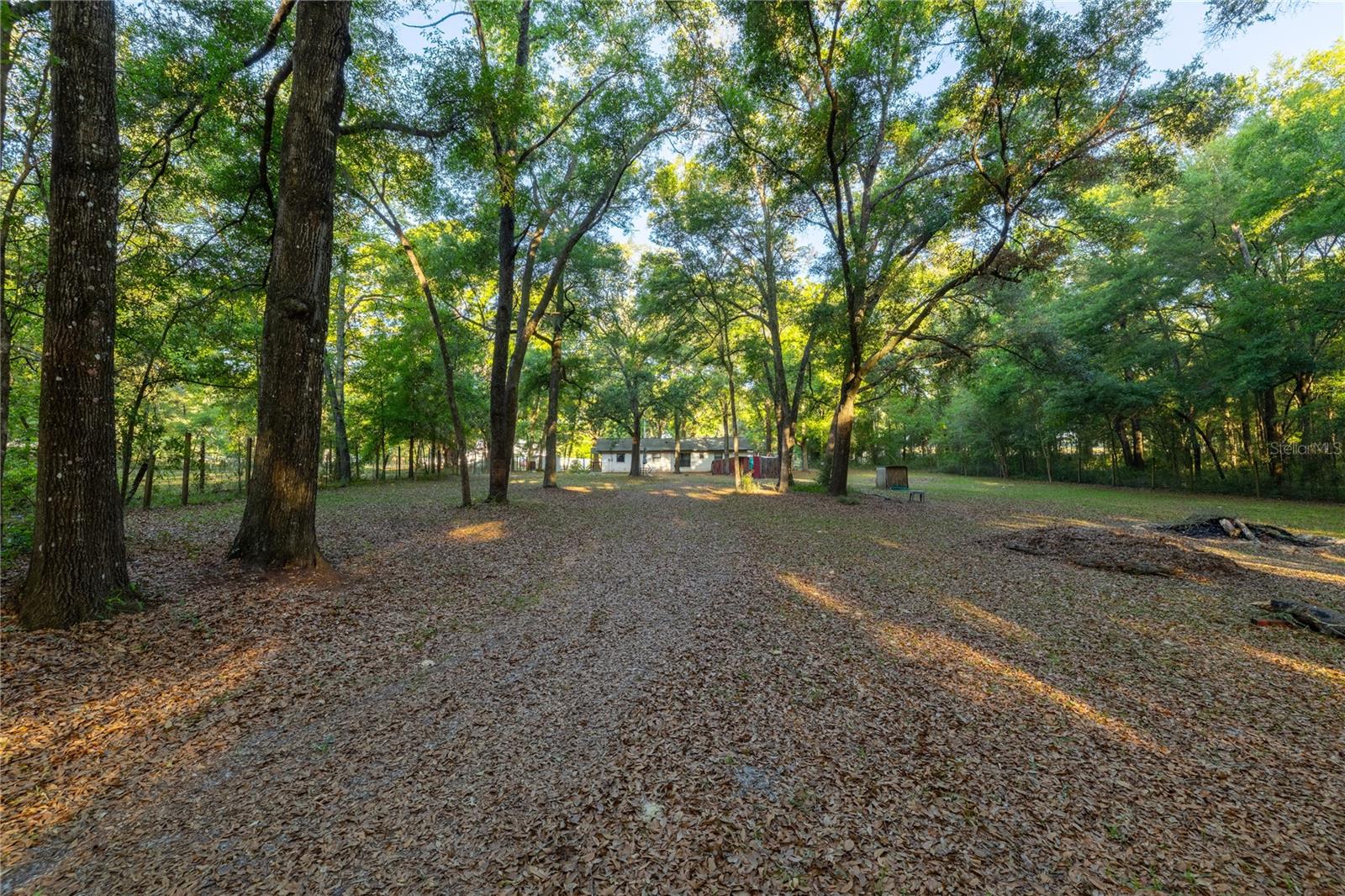 2731 NE 165TH TER, WILLISTON, FL, 32696