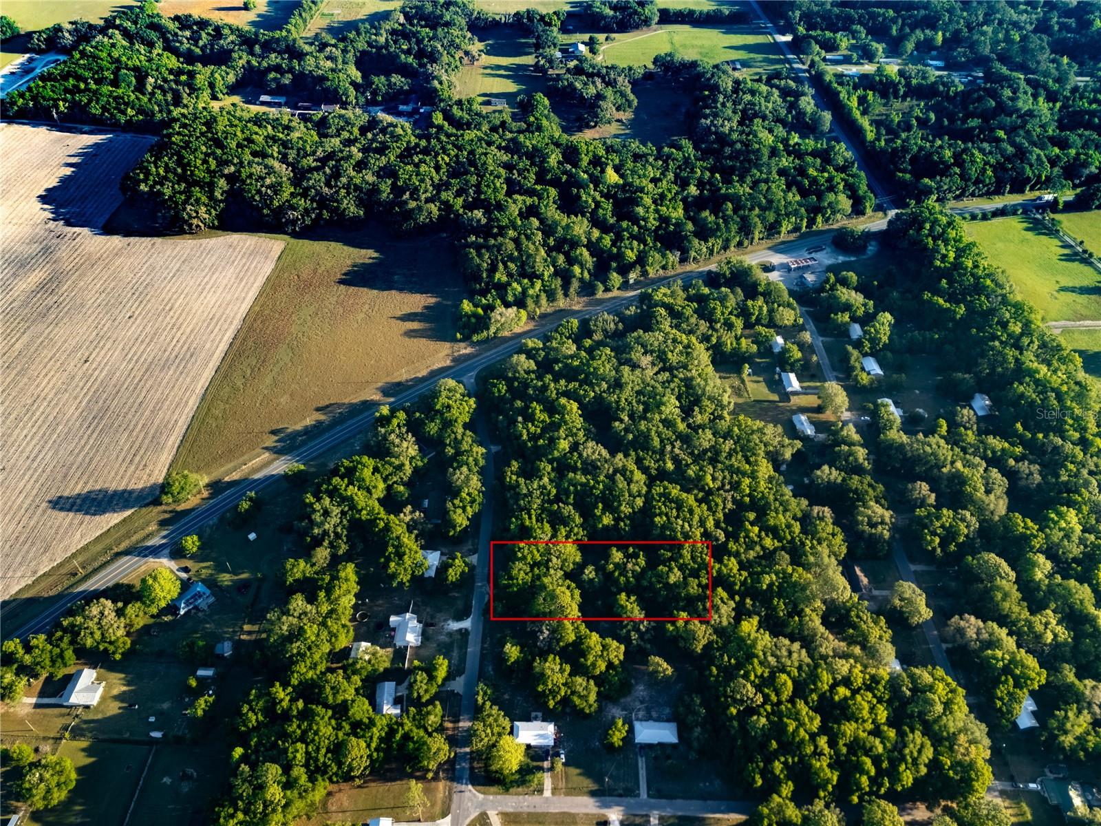 2731 NE 165TH TER, WILLISTON, FL, 32696