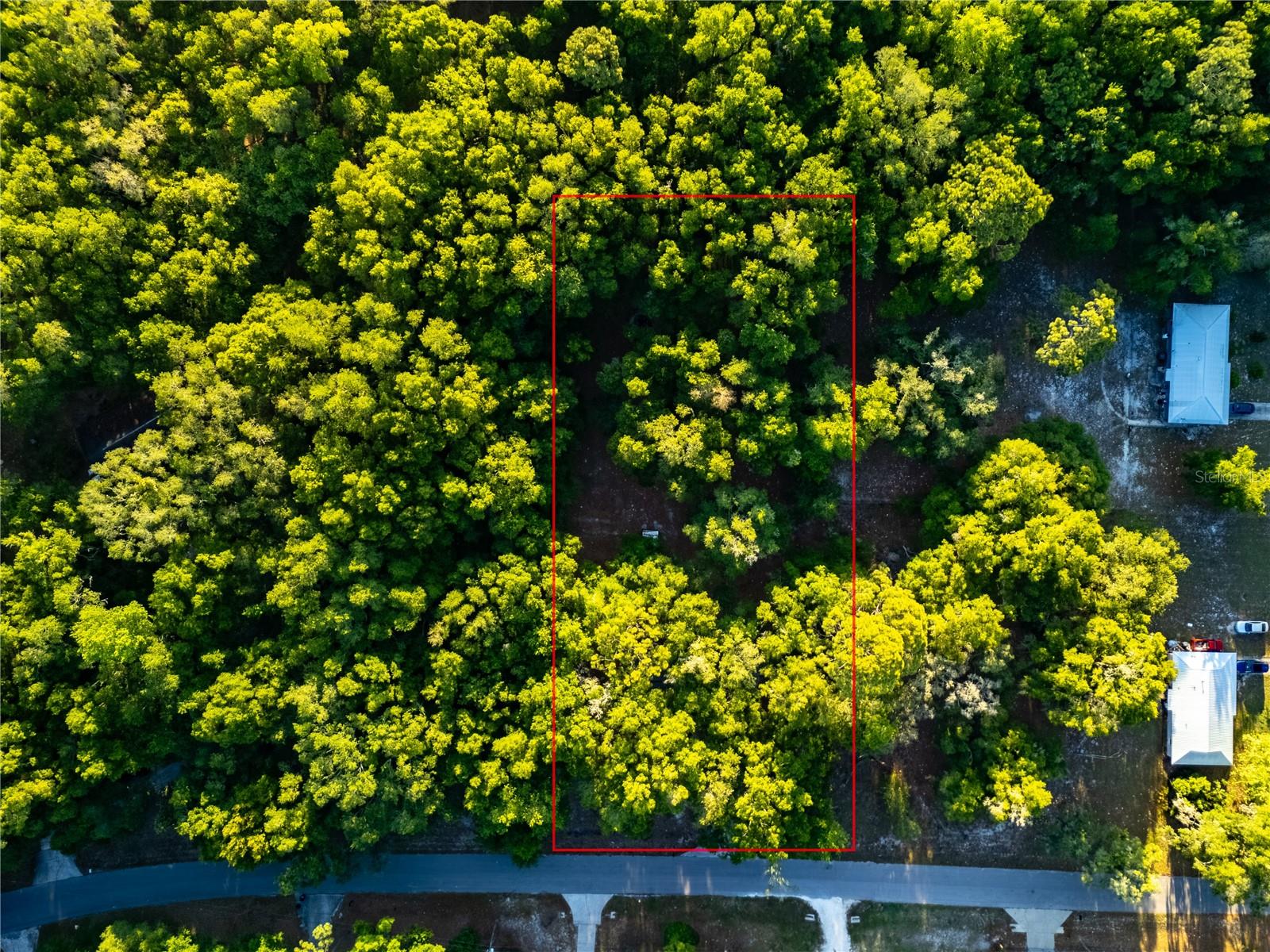 2731 NE 165TH TER, WILLISTON, FL, 32696