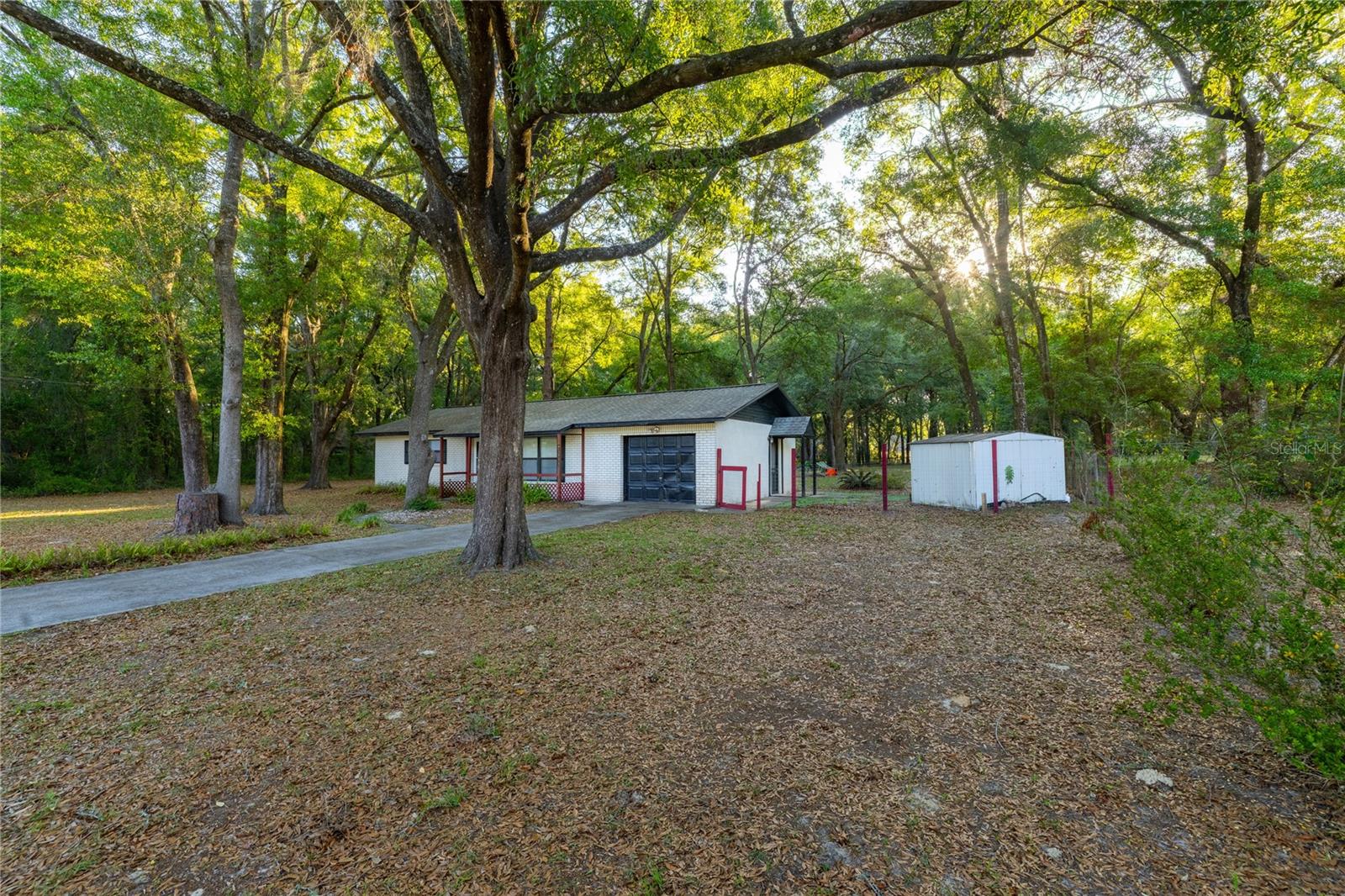 2731 NE 165TH TER, WILLISTON, FL, 32696