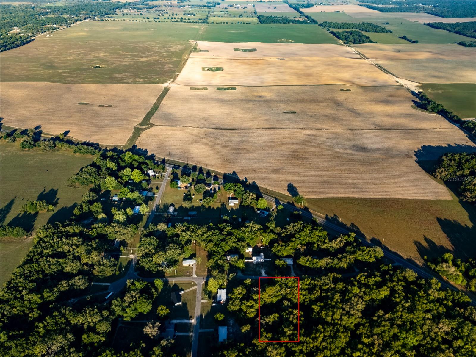 2731 NE 165TH TER, WILLISTON, FL, 32696