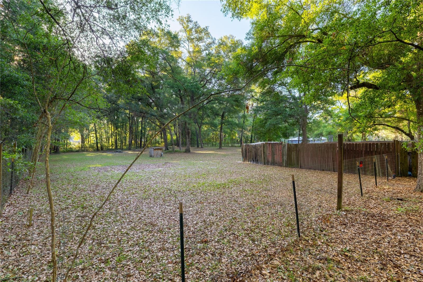 2731 NE 165TH TER, WILLISTON, FL, 32696