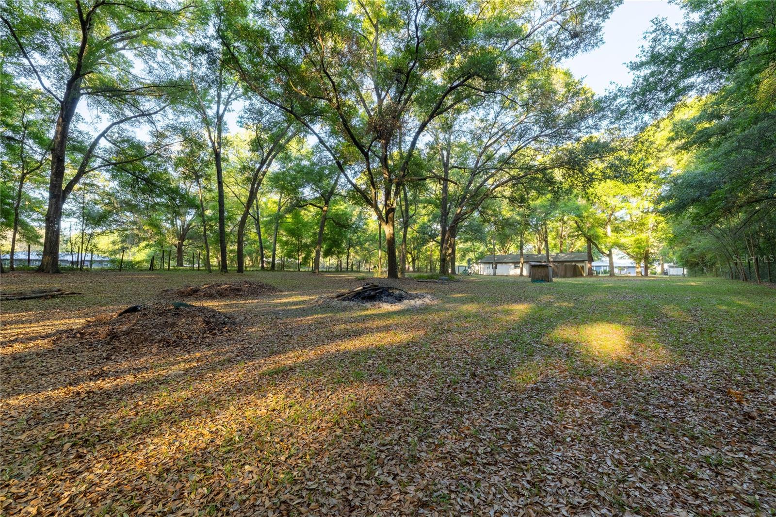 2731 NE 165TH TER, WILLISTON, FL, 32696