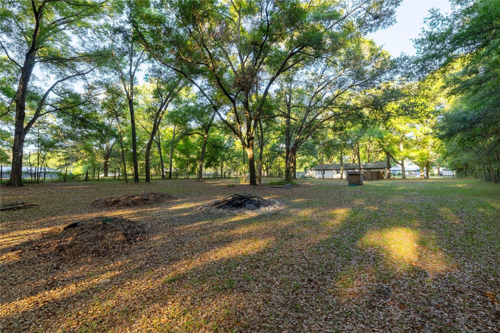 2731 NE 165TH TER, WILLISTON, FL, 32696