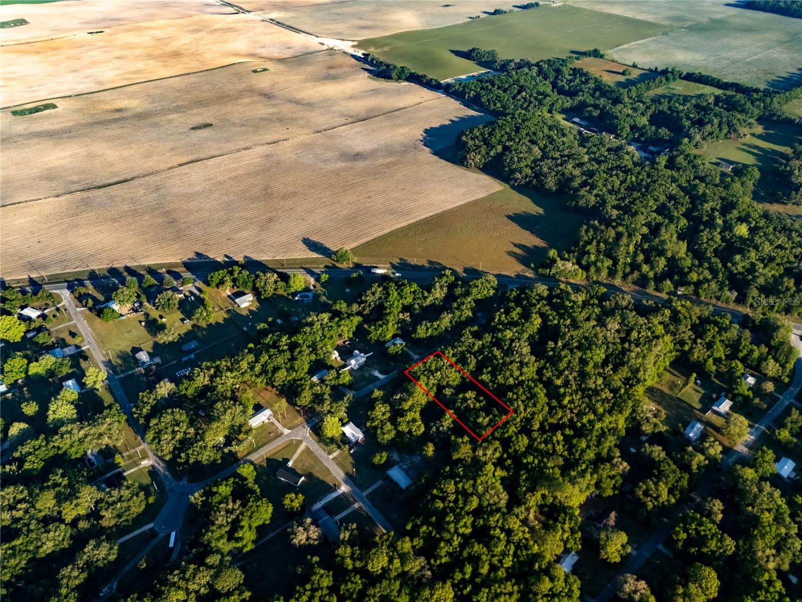 2731 NE 165TH TER, WILLISTON, FL, 32696