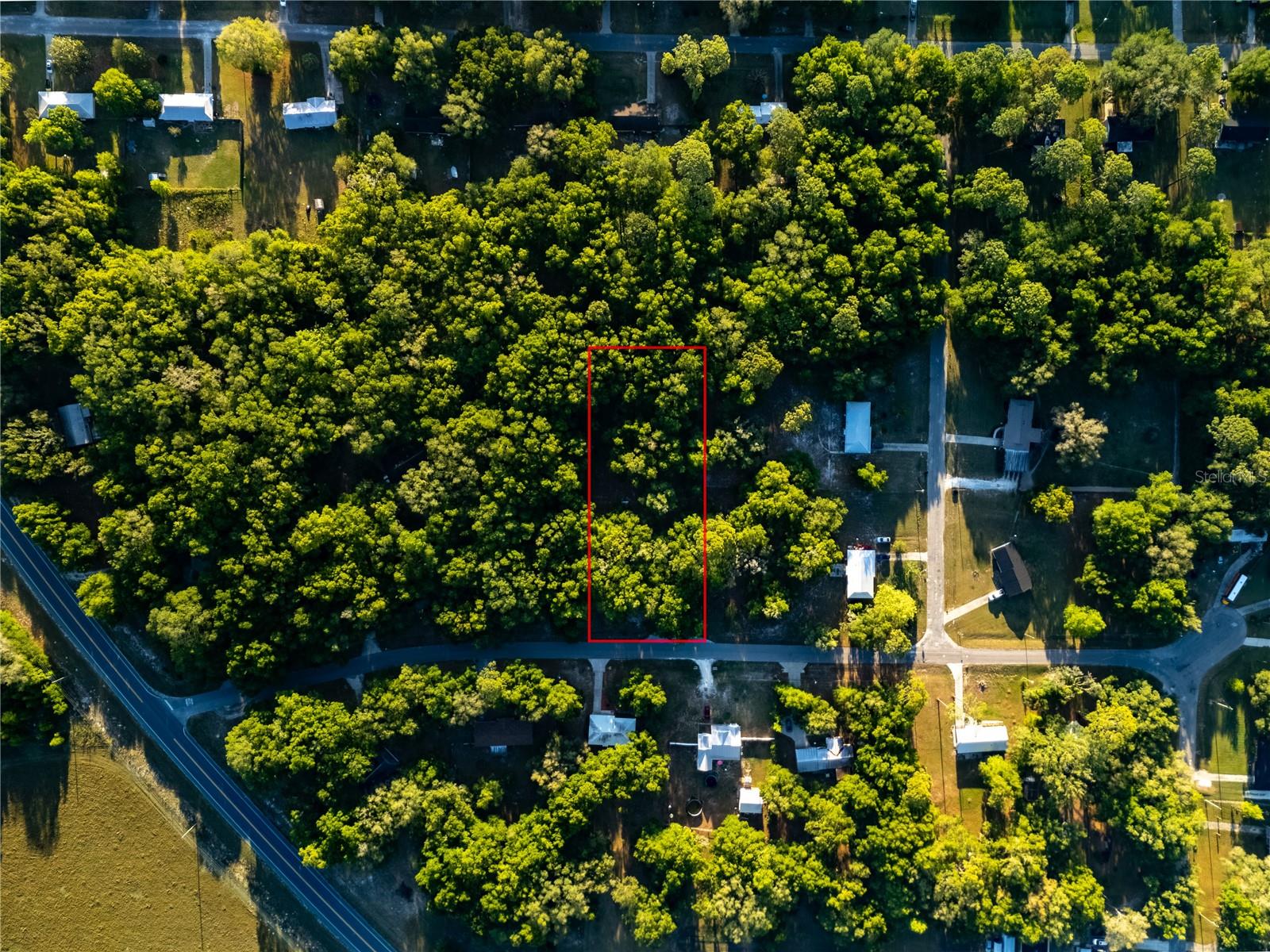 2731 NE 165TH TER, WILLISTON, FL, 32696