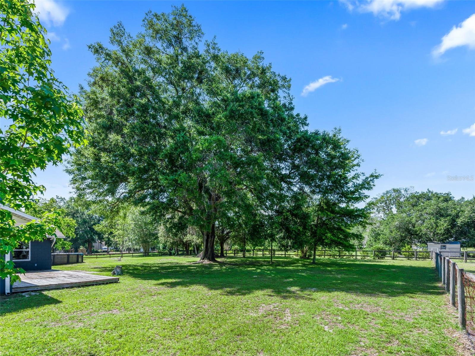 2405 SE 157TH LANE RD, SUMMERFIELD, FL, 34491