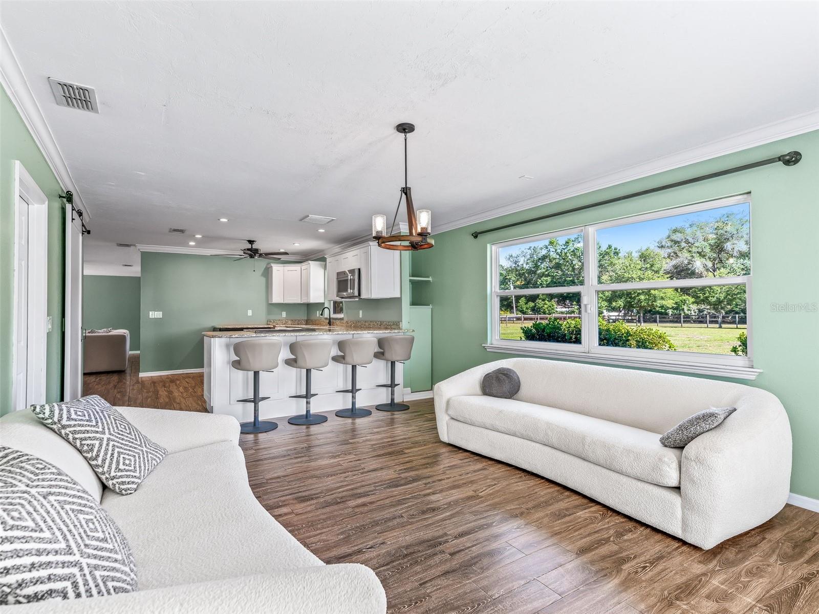 2405 SE 157TH LANE RD, SUMMERFIELD, FL, 34491