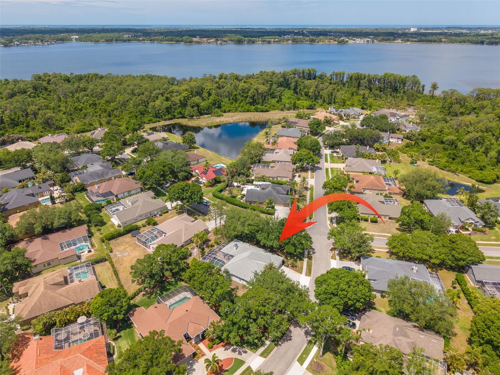 3652 JUSTIN DR, PALM HARBOR, FL, 34685