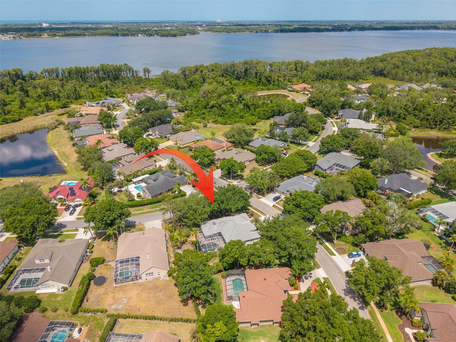 3652 JUSTIN DR, PALM HARBOR, FL, 34685