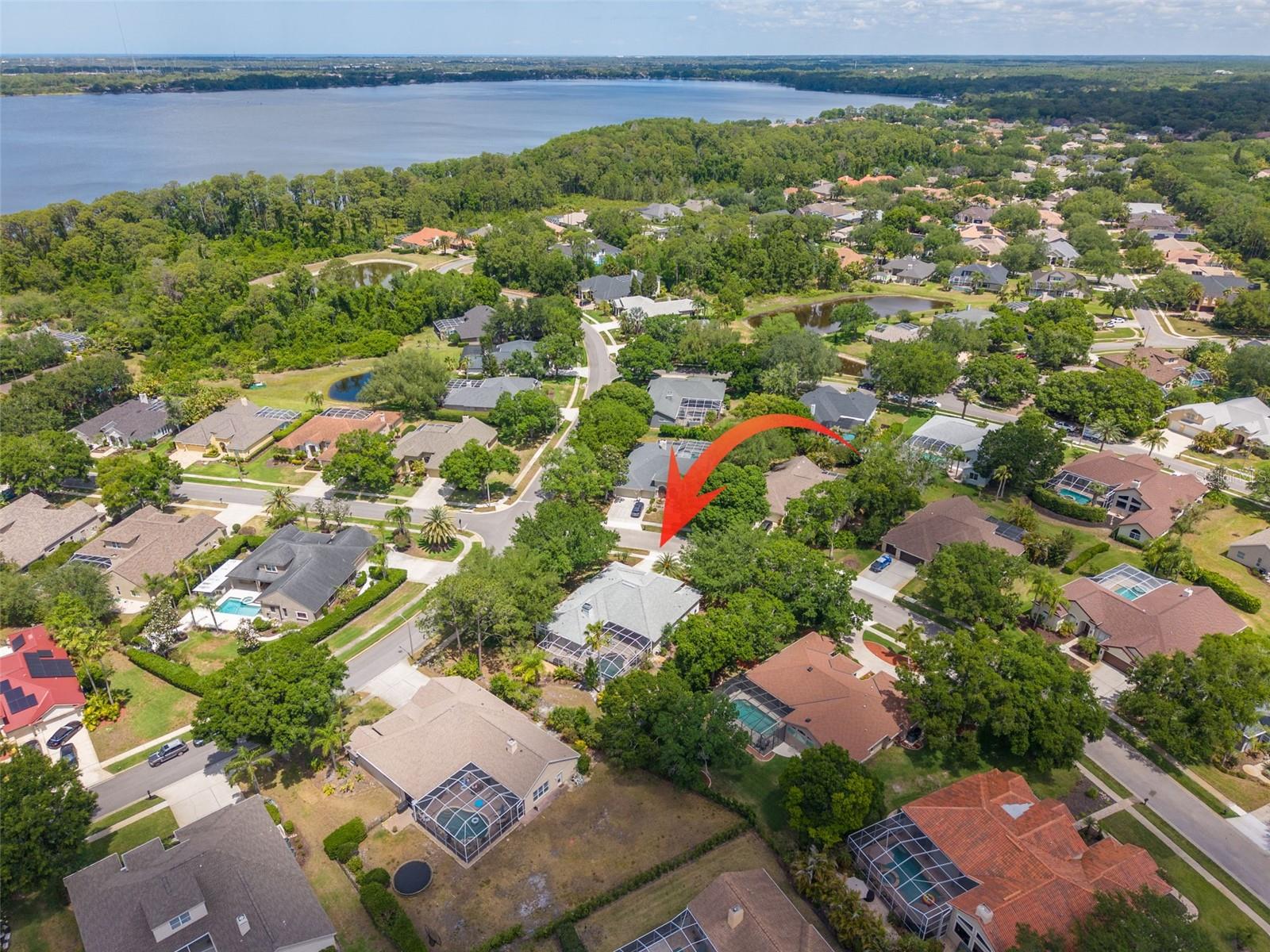 3652 JUSTIN DR, PALM HARBOR, FL, 34685