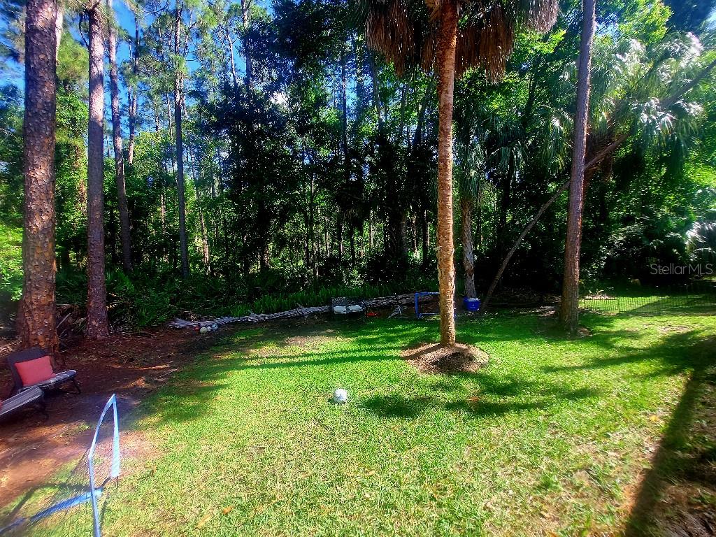 9820 GRETNA GREEN DR, TAMPA, FL, 33626