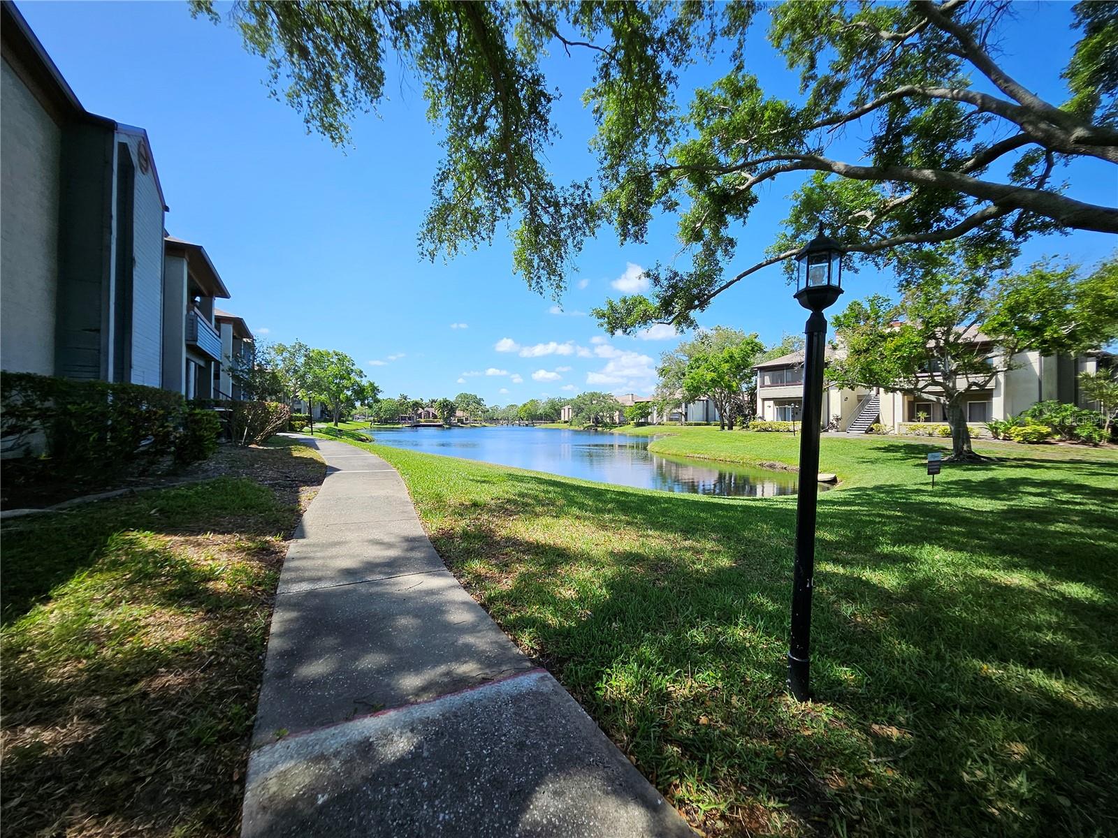 10265 GANDY BLVD N #1003, ST PETERSBURG, FL, 33702