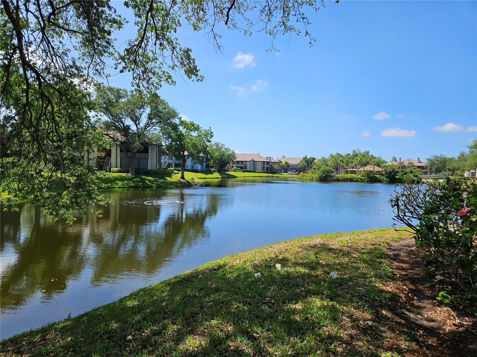 10265 GANDY BLVD N #1003, ST PETERSBURG, FL, 33702