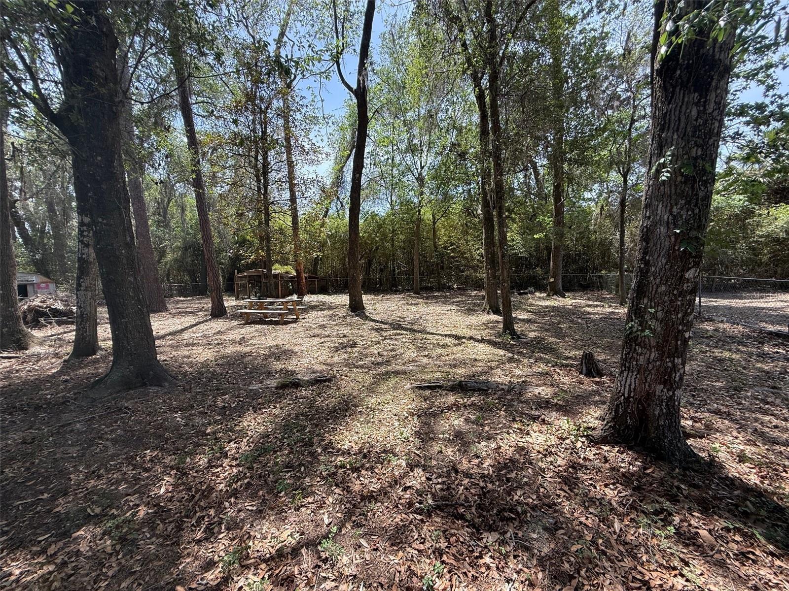 3201 SE 28TH AVE, GAINESVILLE, FL, 32641