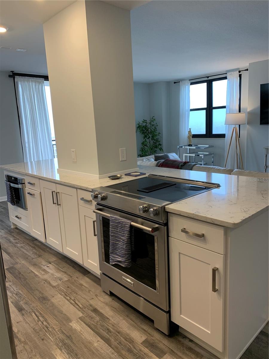 3820 GULF BLVD #808, ST PETE BEACH, FL, 33706