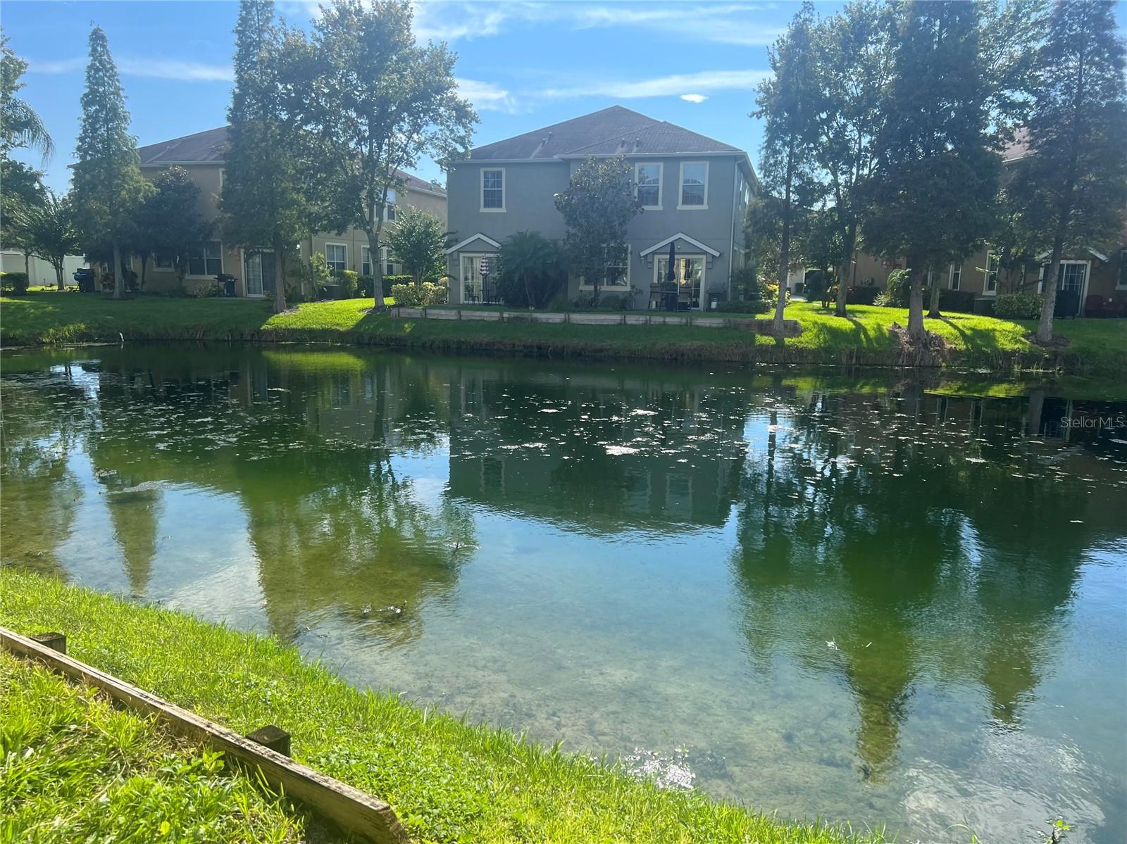 9013 MOONLIT MEADOWS LOOP, RIVERVIEW, FL, 33578