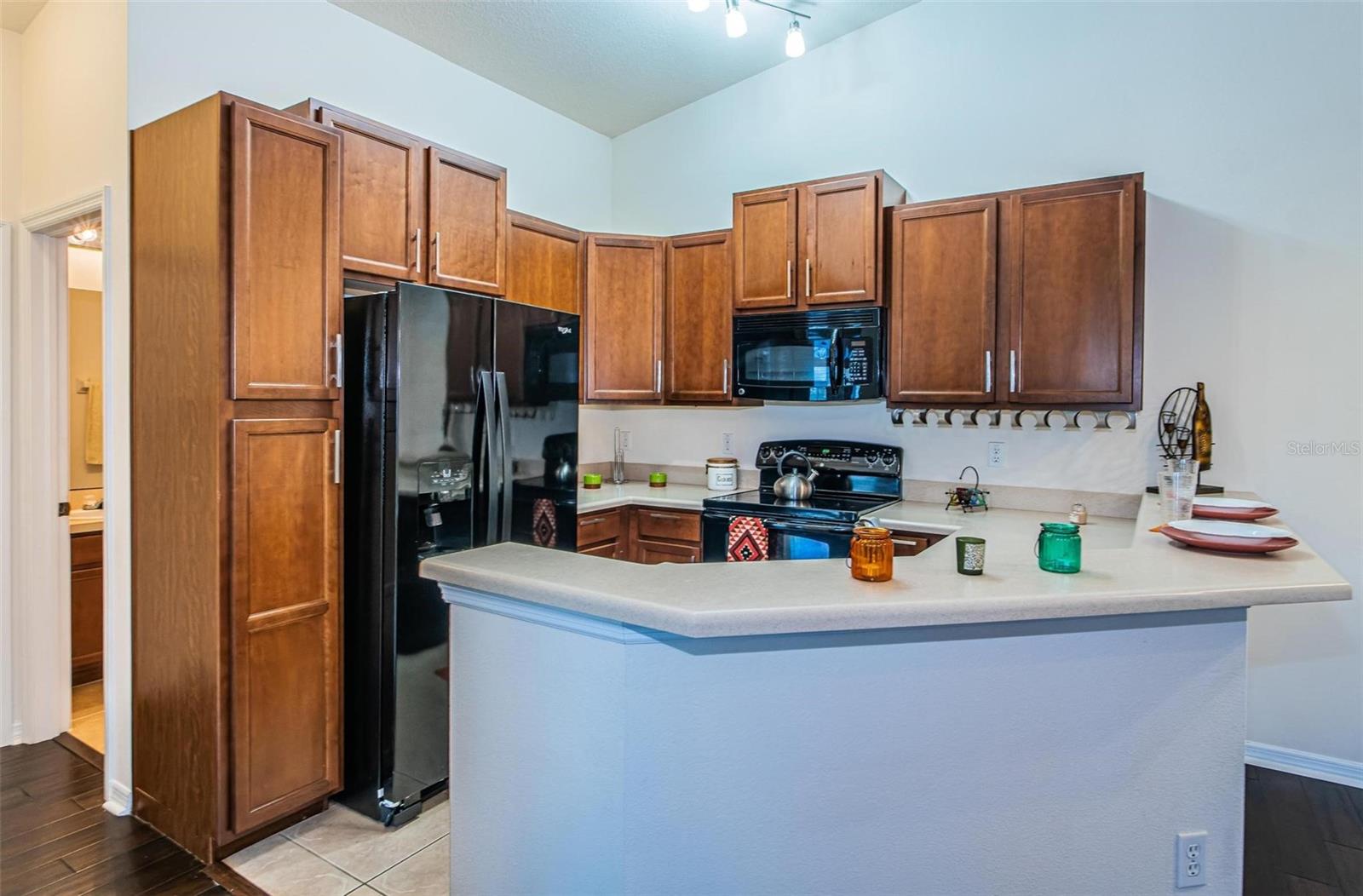 9013 MOONLIT MEADOWS LOOP, RIVERVIEW, FL, 33578