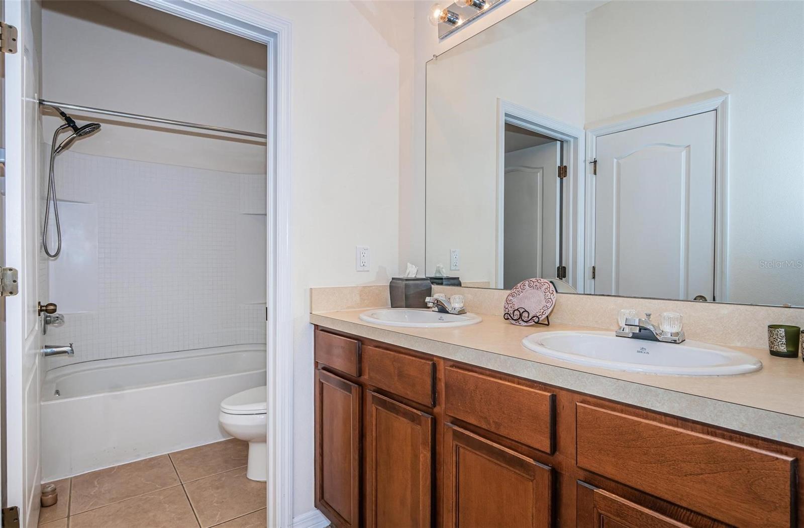 9013 MOONLIT MEADOWS LOOP, RIVERVIEW, FL, 33578