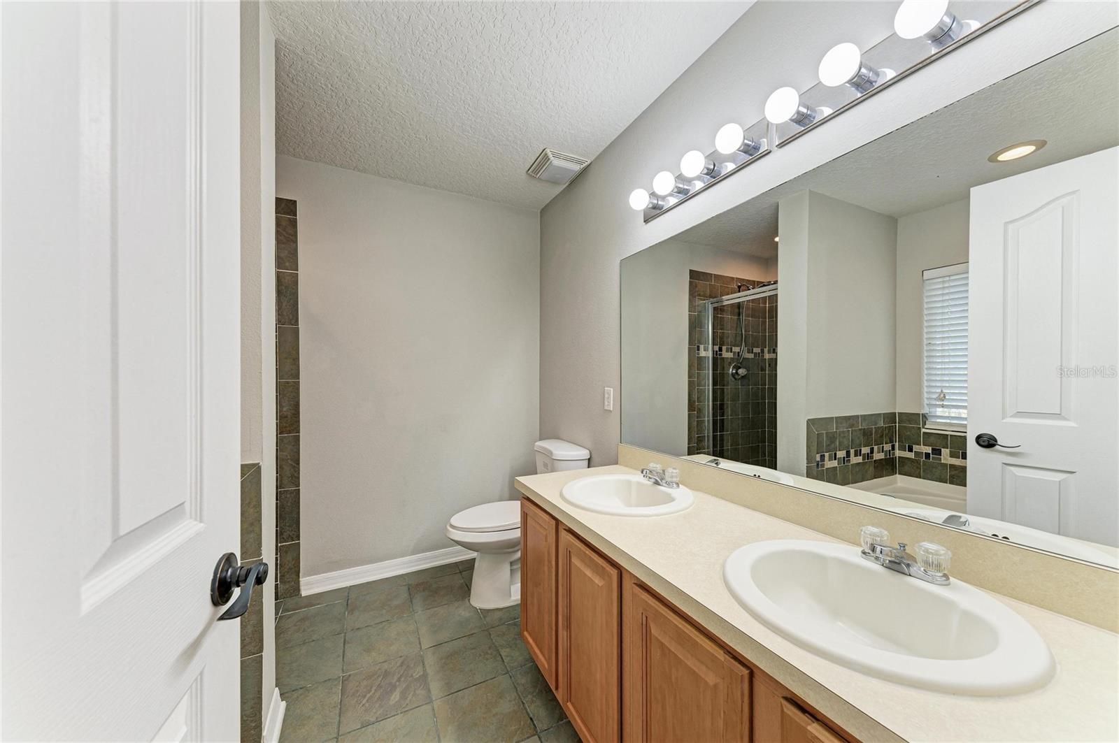 10825 GREAT CARLISLE CT, RIVERVIEW, FL, 33578