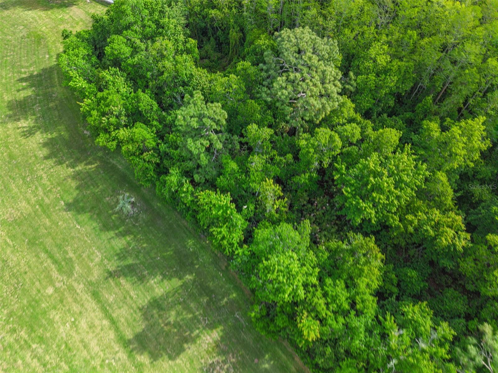 932 OCALA WOODS LN, ORLANDO, FL, 32824