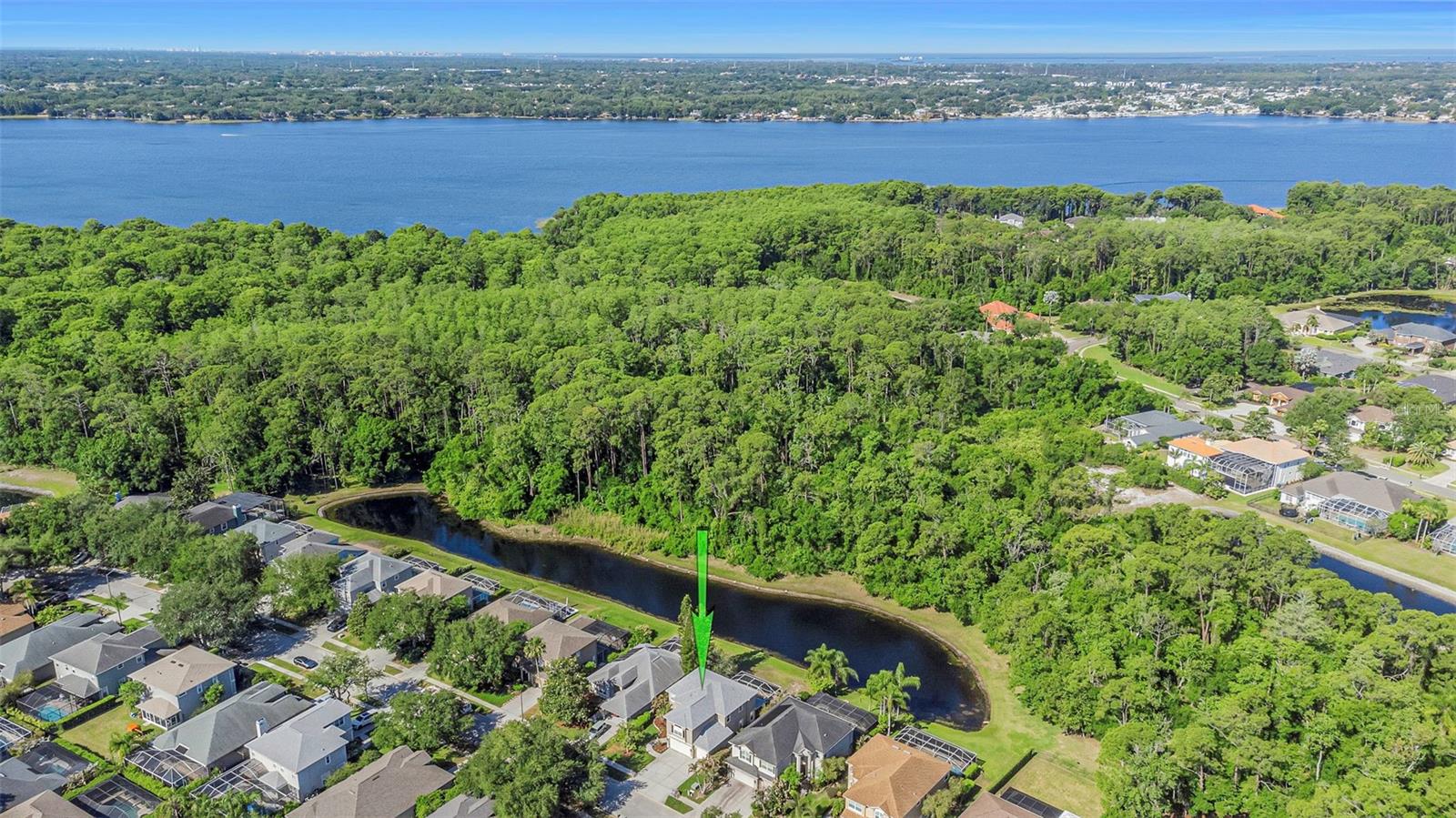 4152 GRANDCHAMP CIR, PALM HARBOR, FL, 34685