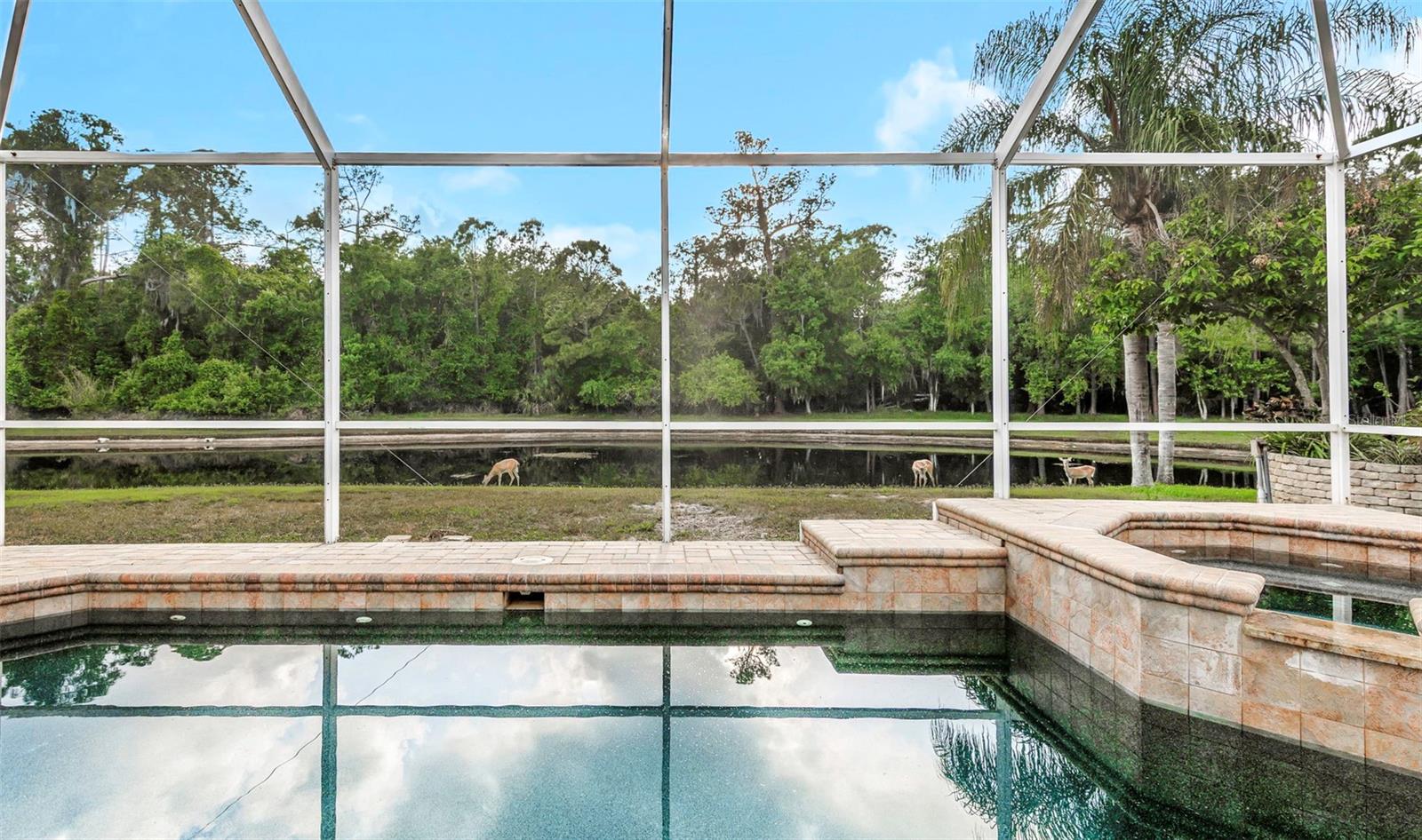 4152 GRANDCHAMP CIR, PALM HARBOR, FL, 34685
