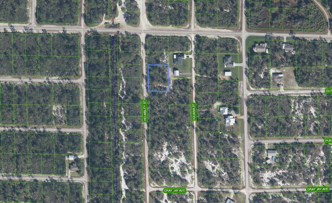 1059 HELMSLEY ST, LAKE PLACID, FL, 33852
