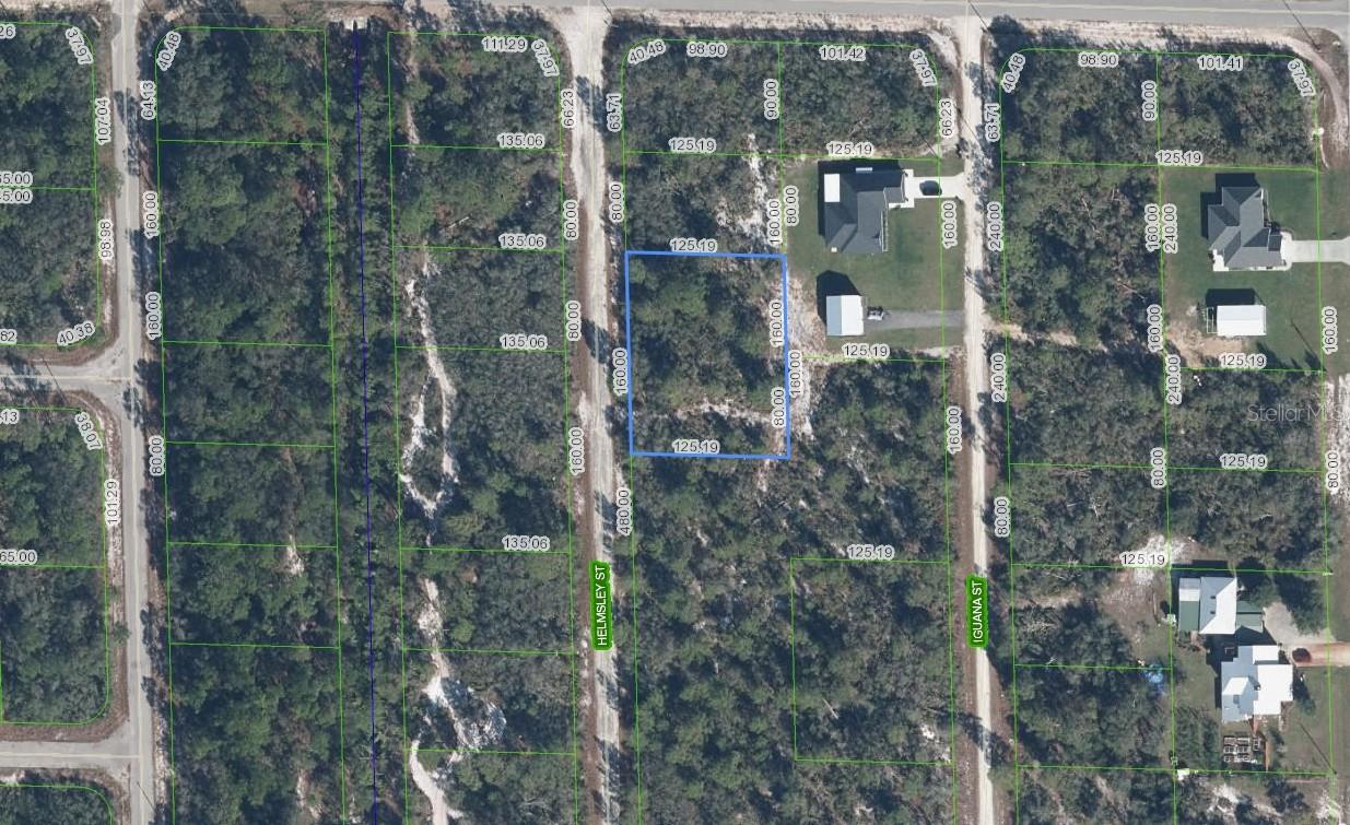 1059 HELMSLEY ST, LAKE PLACID, FL, 33852