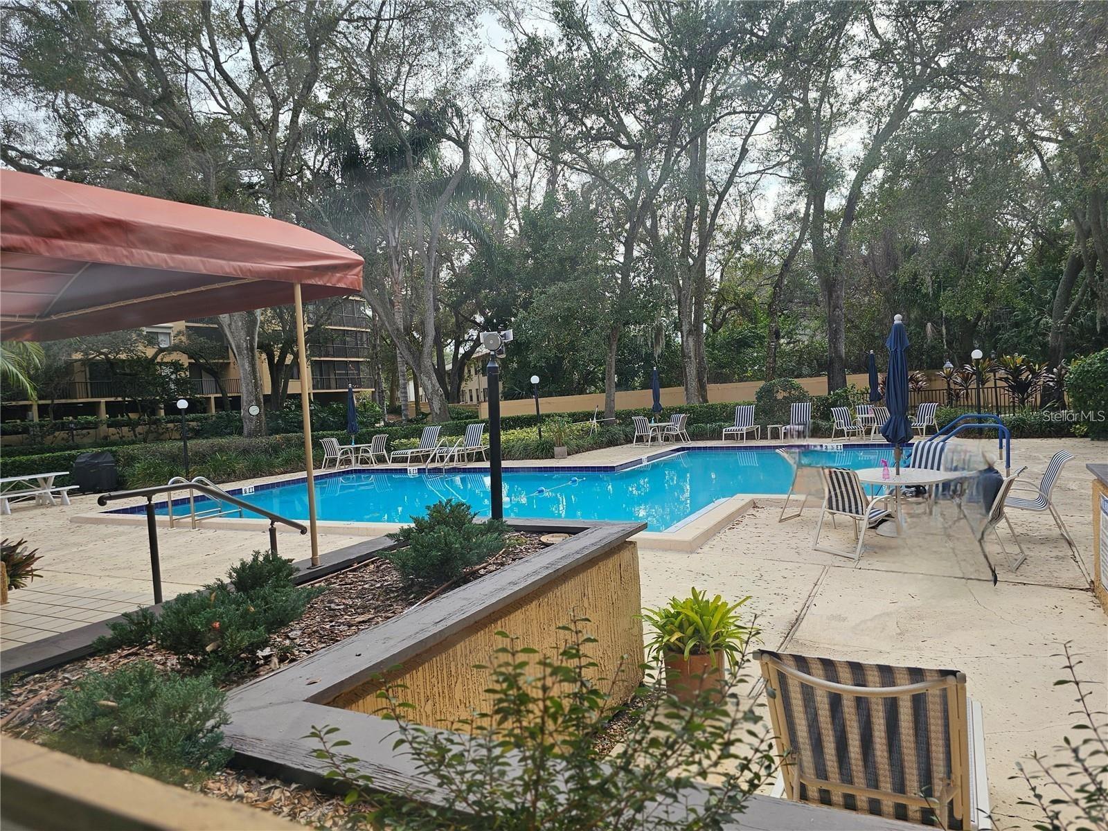 3076 EASTLAND BLVD #203, CLEARWATER, FL, 33761