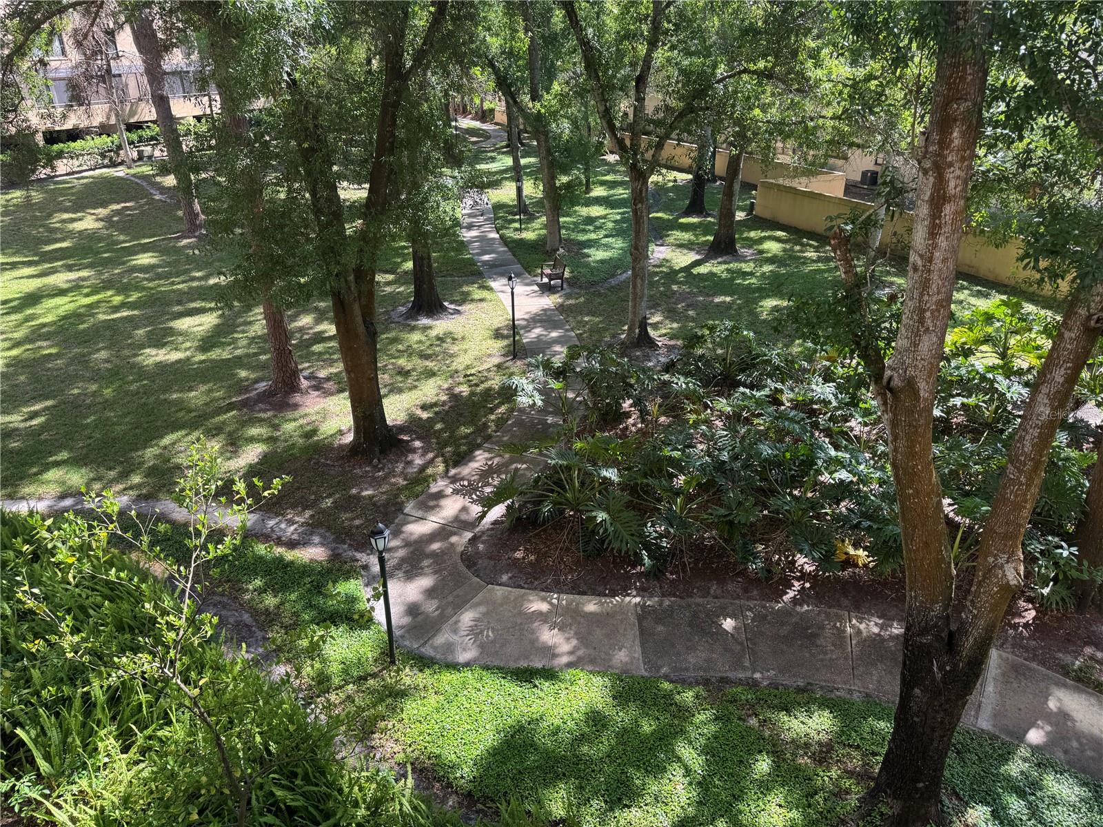 3076 EASTLAND BLVD #203, CLEARWATER, FL, 33761