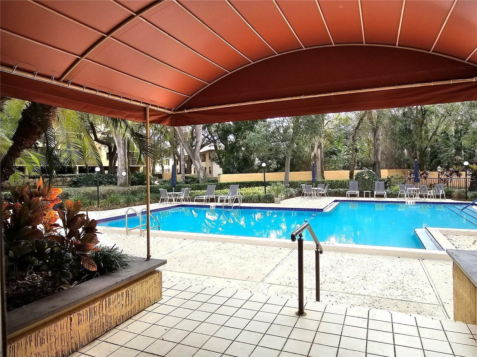 3076 EASTLAND BLVD #203, CLEARWATER, FL, 33761