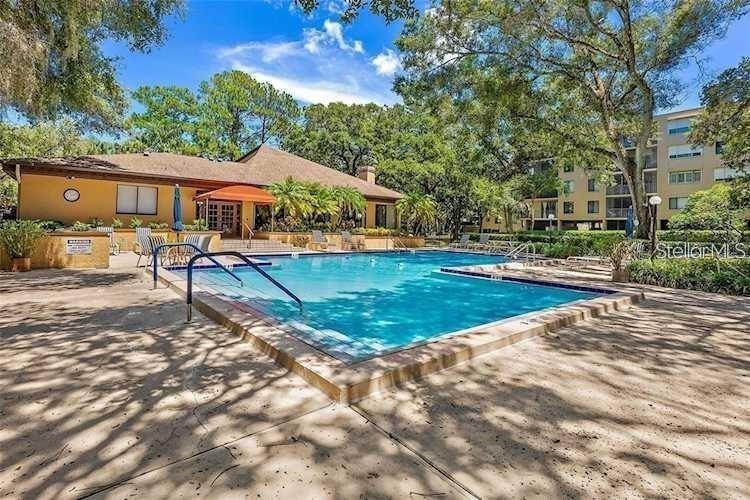 3076 EASTLAND BLVD #203, CLEARWATER, FL, 33761