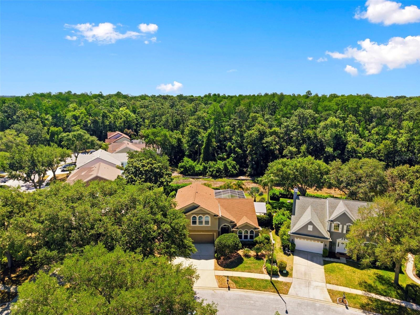 4356 ELLINWOOD BLVD, PALM HARBOR, FL, 34685