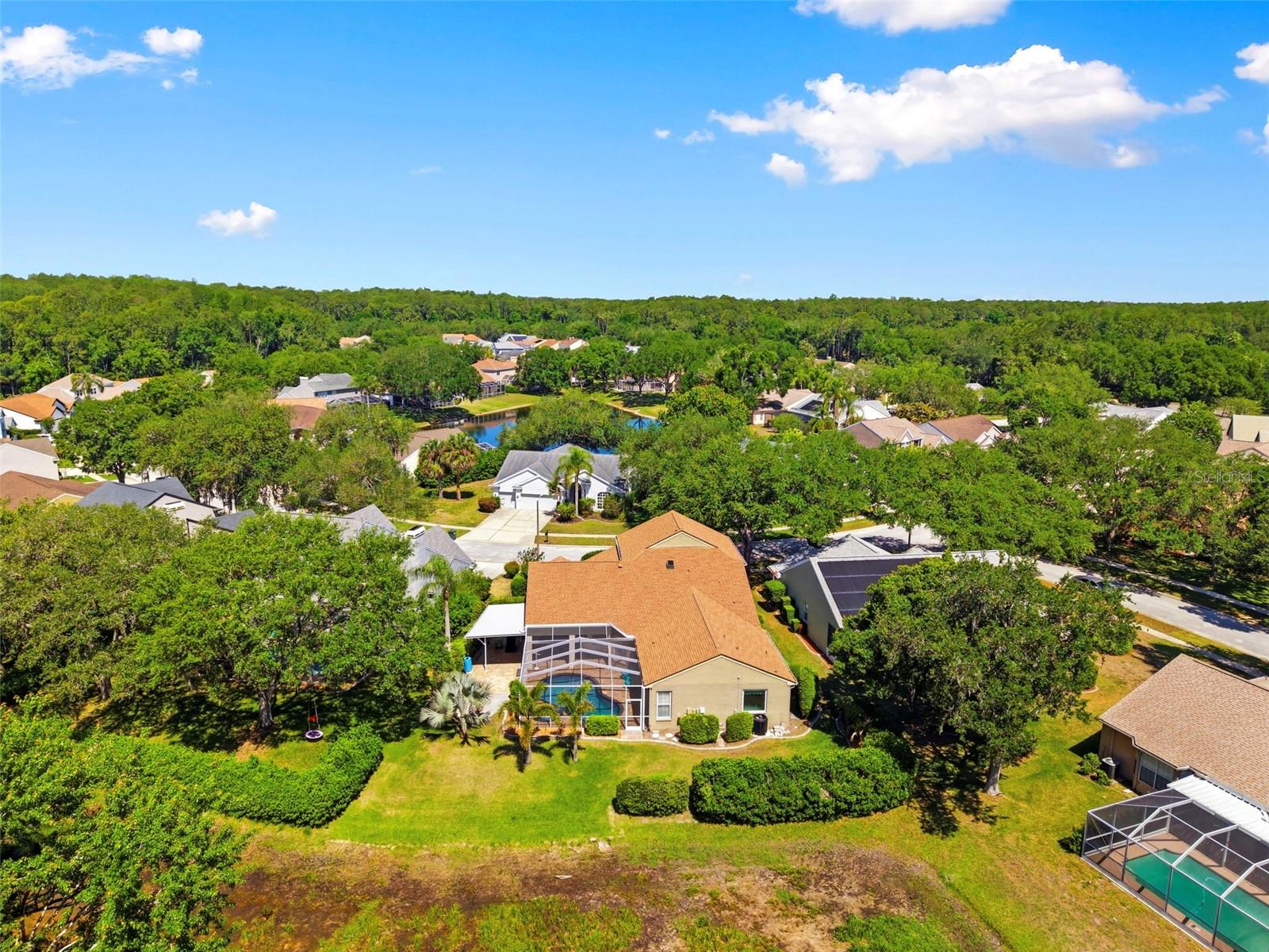 4356 ELLINWOOD BLVD, PALM HARBOR, FL, 34685