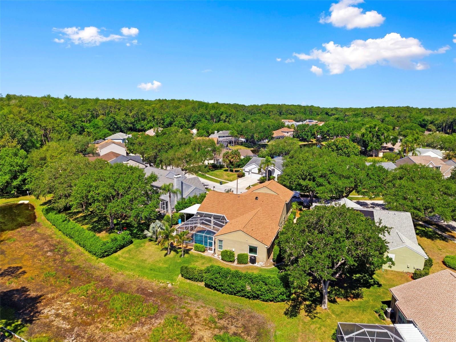 4356 ELLINWOOD BLVD, PALM HARBOR, FL, 34685