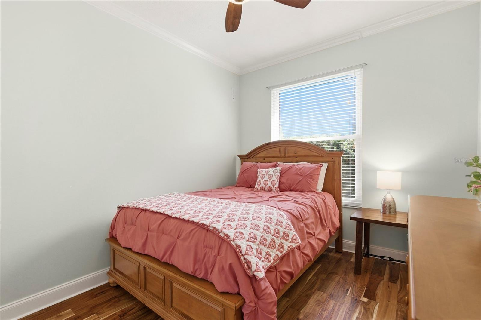 4356 ELLINWOOD BLVD, PALM HARBOR, FL, 34685