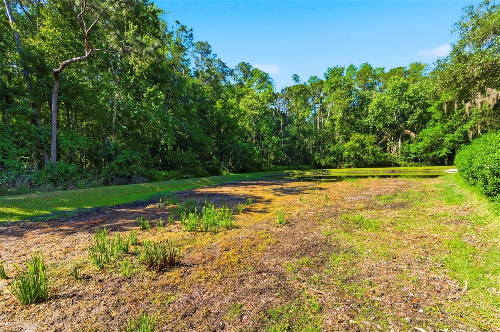 4356 ELLINWOOD BLVD, PALM HARBOR, FL, 34685