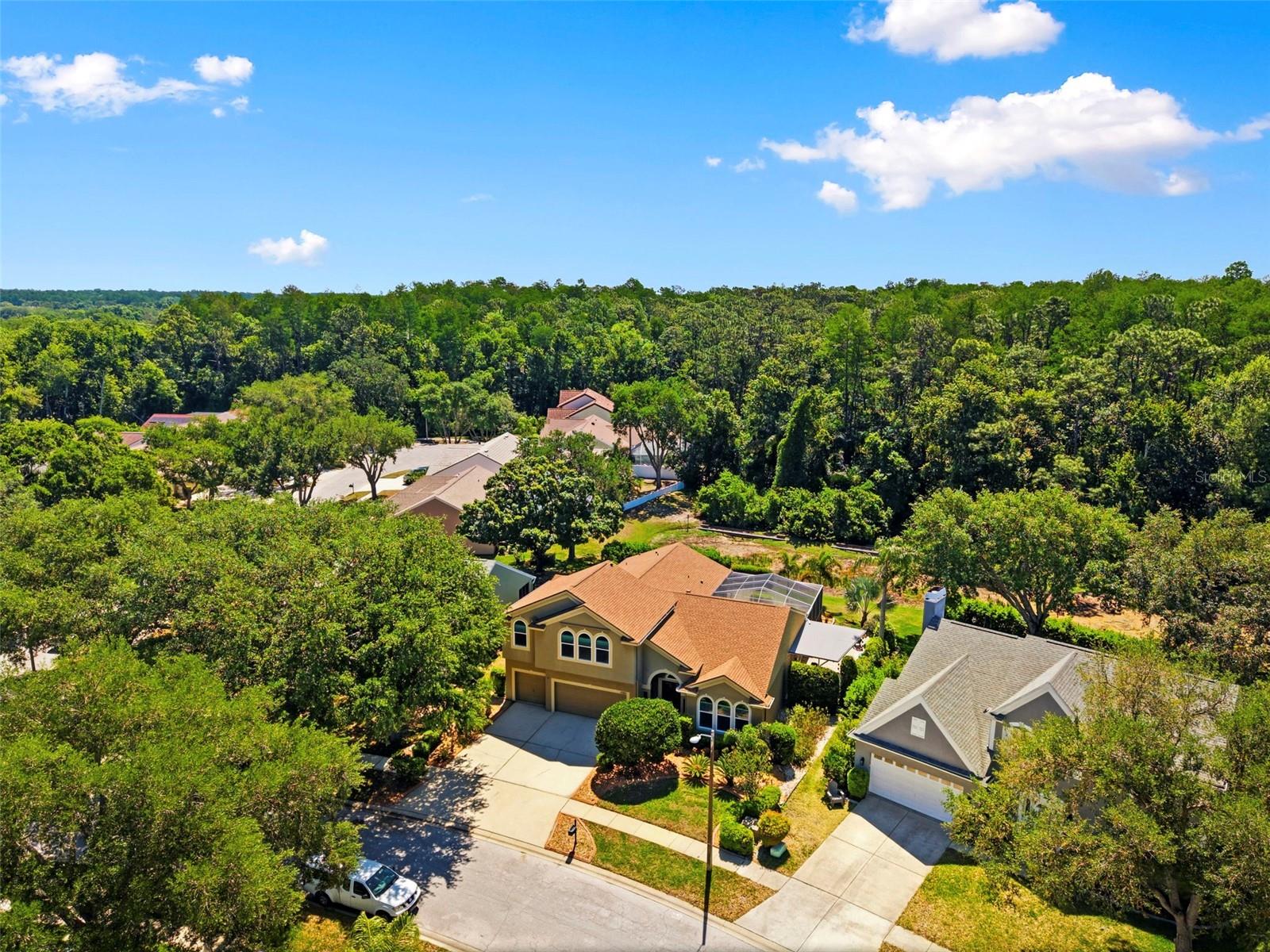 4356 ELLINWOOD BLVD, PALM HARBOR, FL, 34685