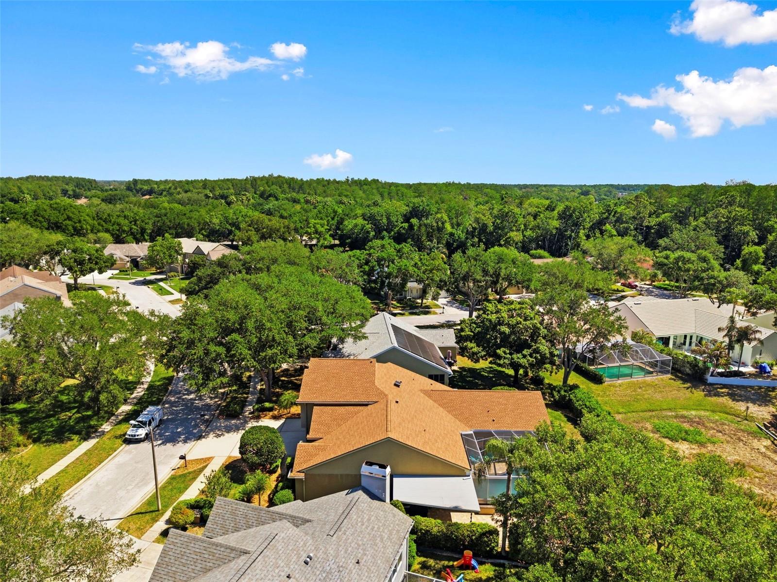 4356 ELLINWOOD BLVD, PALM HARBOR, FL, 34685