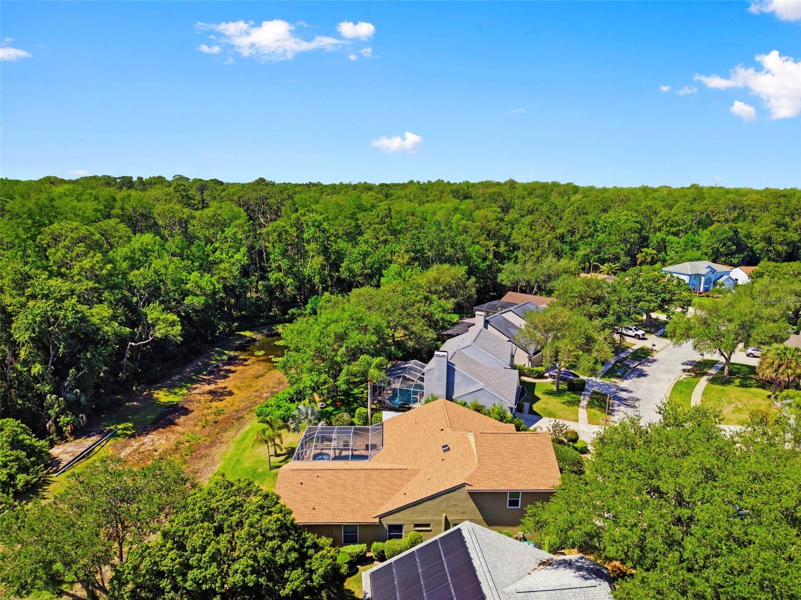 4356 ELLINWOOD BLVD, PALM HARBOR, FL, 34685