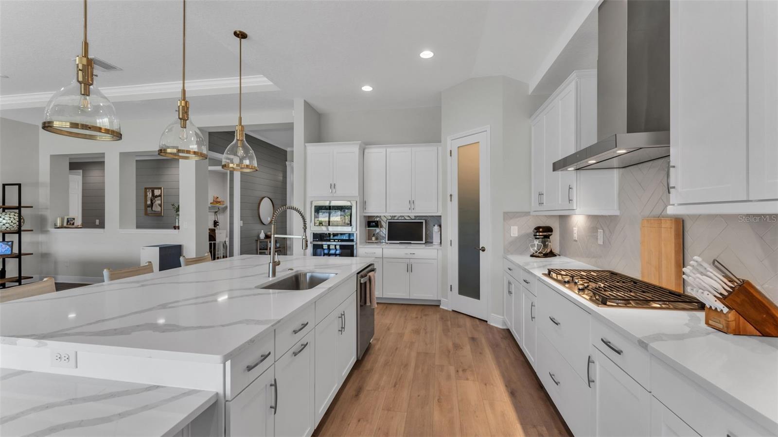 13112 WELLSPRING DR, LITHIA, FL, 33547