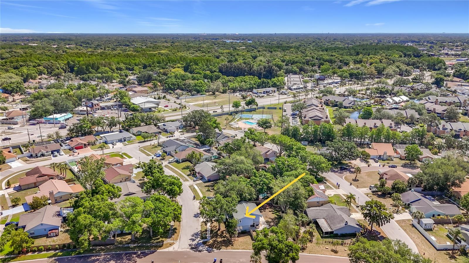 4510 VIEWRIDGE WAY, TAMPA, FL, 33624