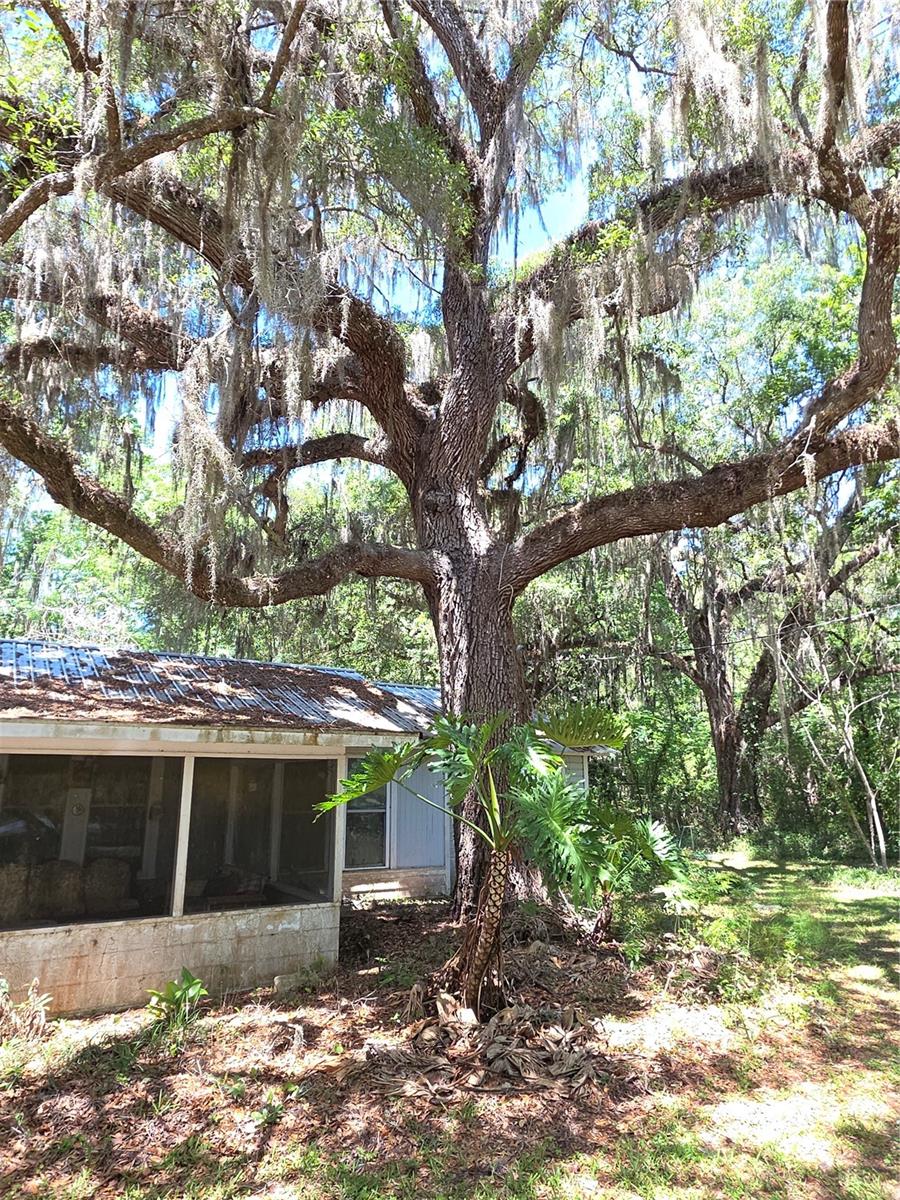 13499 OLD CRYSTAL RIVER RD, BROOKSVILLE, FL, 34601