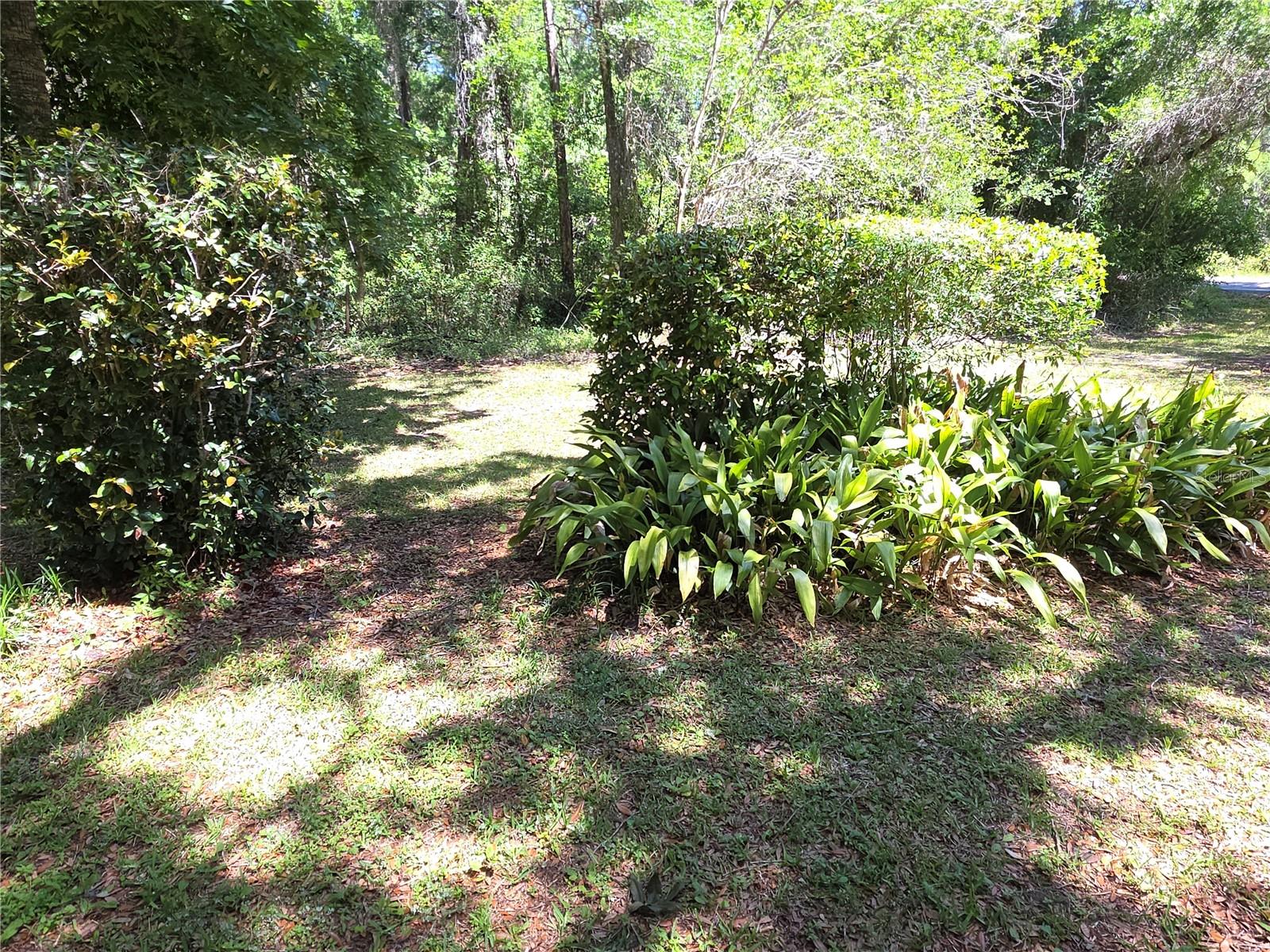 13499 OLD CRYSTAL RIVER RD, BROOKSVILLE, FL, 34601