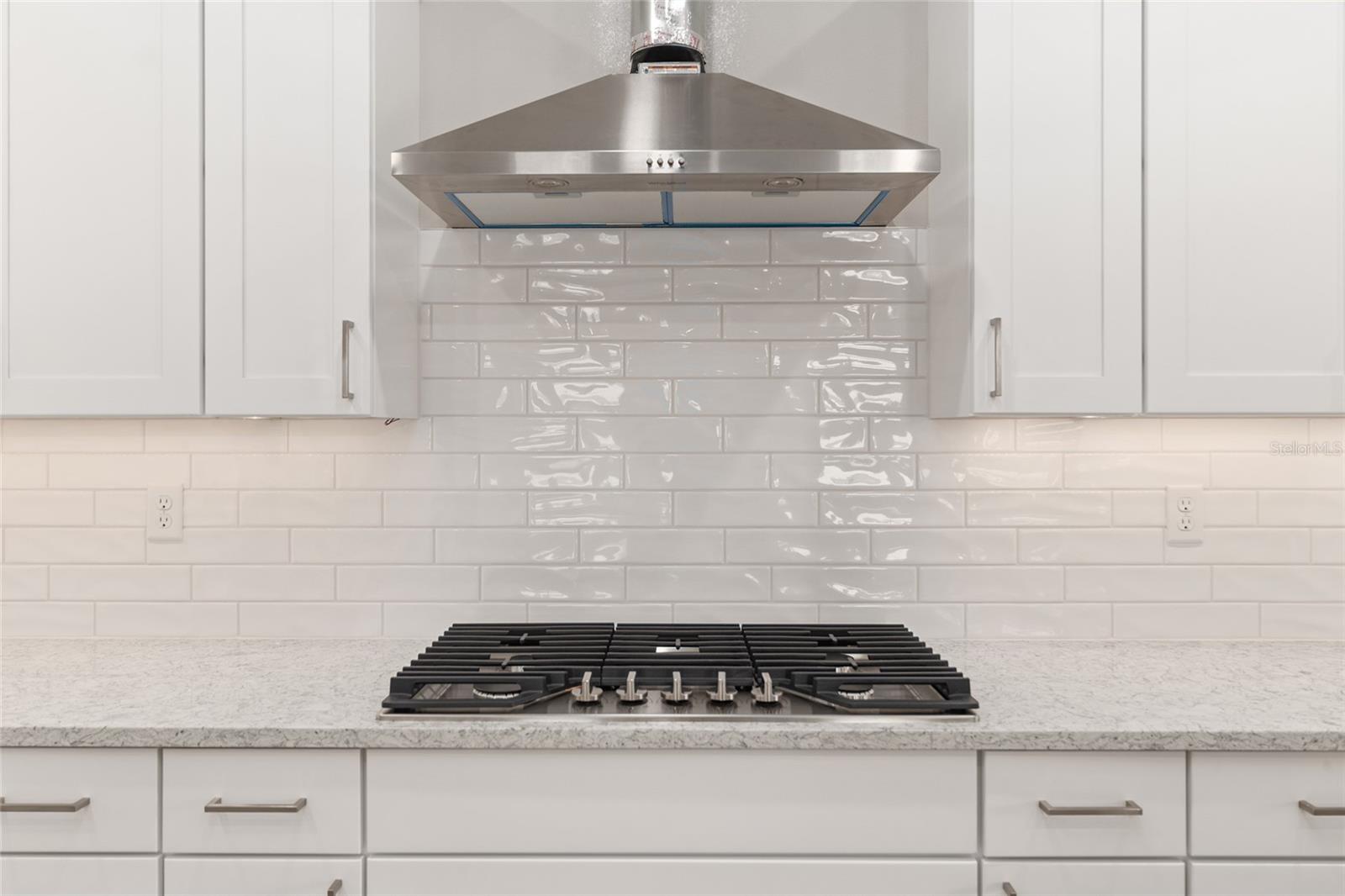 8528 SW 101ST AVE, OCALA, FL, 34481