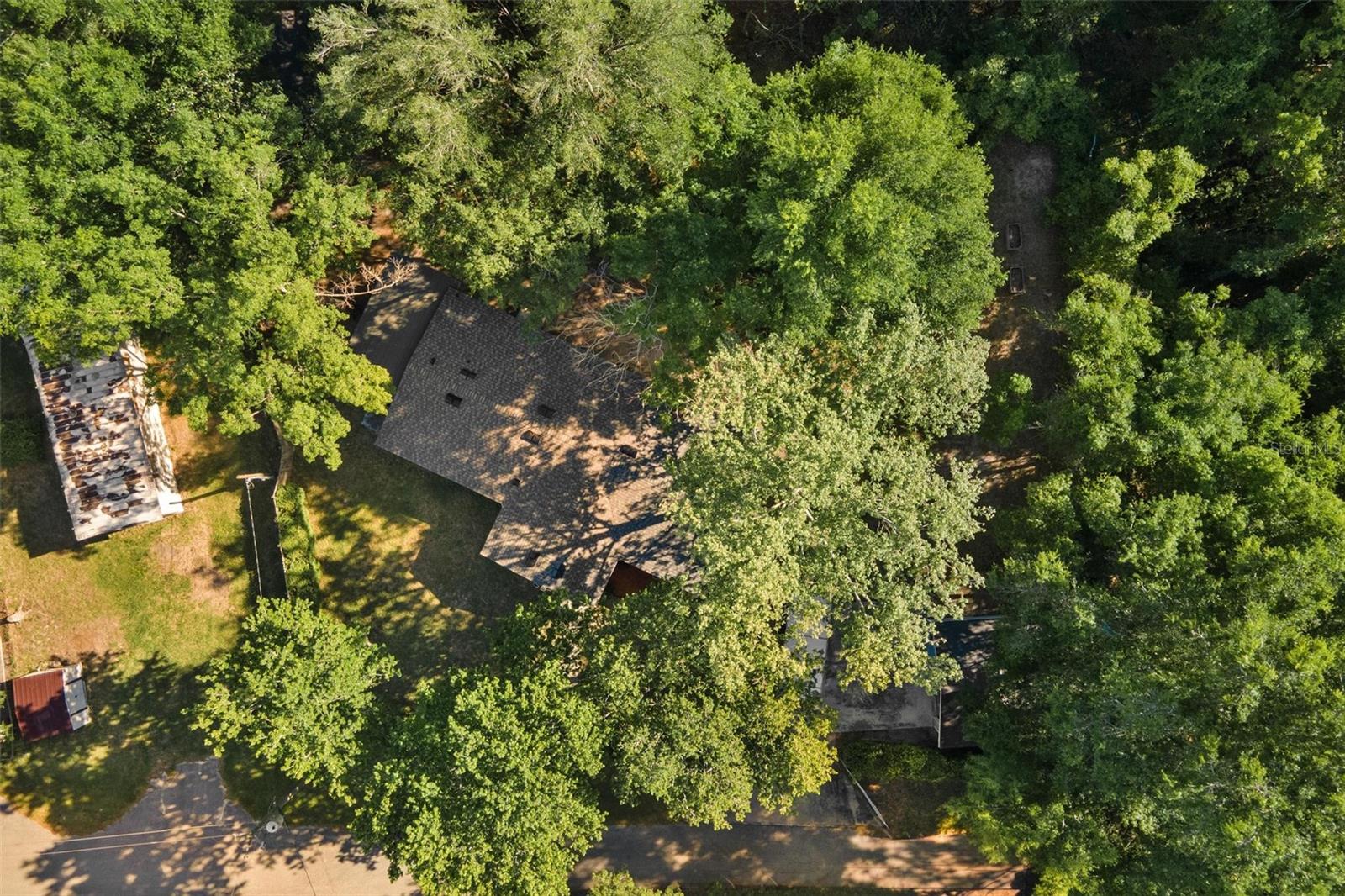 18770 SE 19TH PL, SILVER SPRINGS, FL, 34488